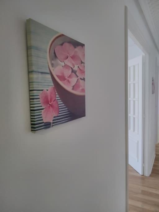 Ven Y Desconecta!! Apartment Viana  Exterior photo